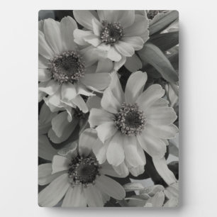 Placa Expositora Susan Flowers de ojos marrones
