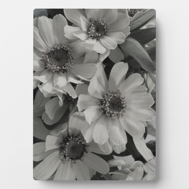 Placa Expositora Susan Flowers de ojos marrones (Frente)