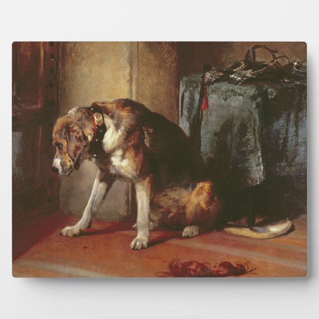 Placa Expositora Suspender (Frente)