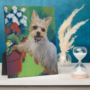 Placa Expositora Sweetness Yorkie