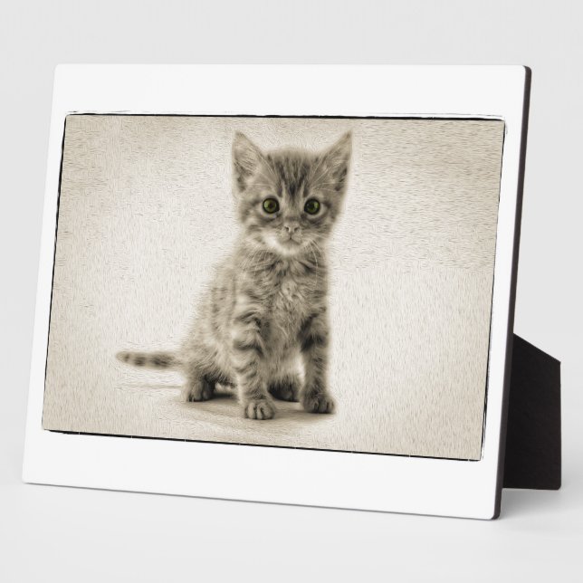 Placa Expositora Tabby Kitty (Lado)