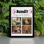 Placa Expositora Tabla de collage de perros personalizada para foto<br><div class="desc">Celebra a tu mejor amigo con una placa de Collage de fotos personalizado. Cuando tienes tantos recuerdos y fotos divertidos, una foto no es suficiente. Este poster tiene 4 fotos, una cita, y usted puede personalizar el nombre de su mascota. También puede cambiar el color de la huella de la...</div>