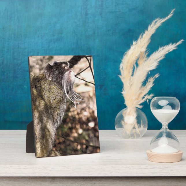 PLACA EXPOSITORA TAMARIN MONKEY (Lado)