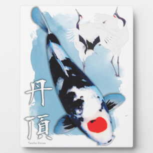 Placa Expositora Tancho koi