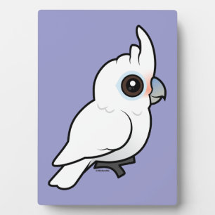 Placa Expositora Tanimbar Corella