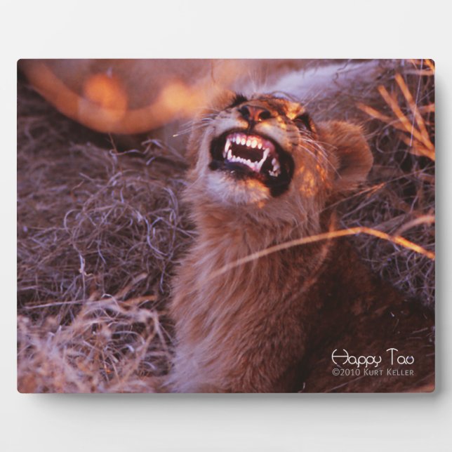 Placa Expositora Tau Feliz (Frente)