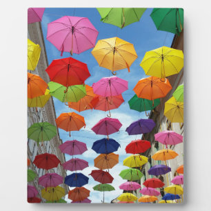 Placa Expositora Techo de paraguas