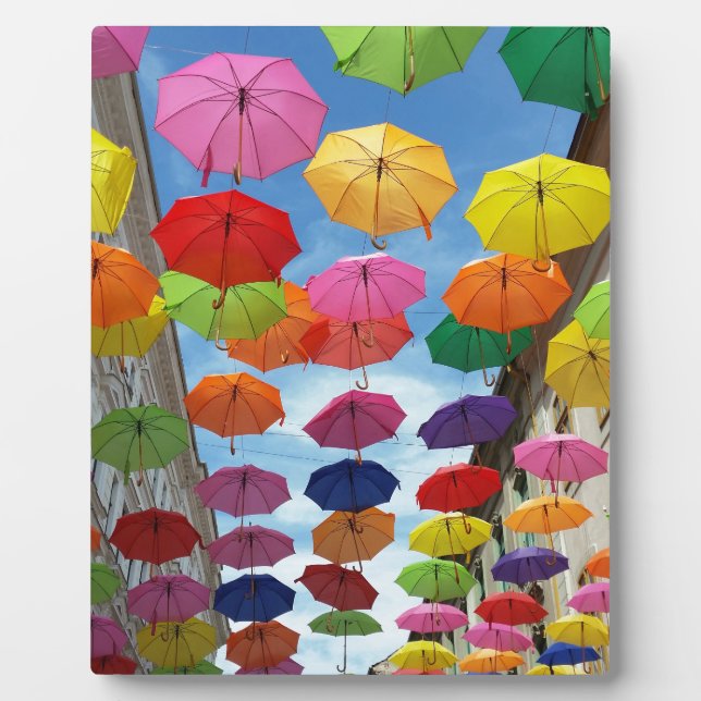 Placa Expositora Techo de paraguas (Frente)