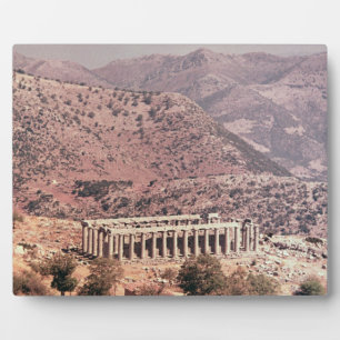 Placa Expositora Templo de Apolo Epikourios, c.450-20 a.C.