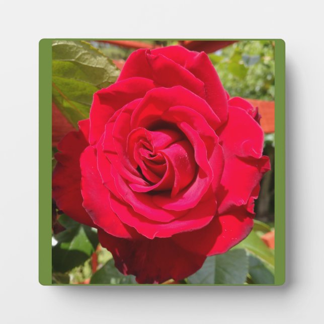 Placa Expositora Terciopelo rojo (Frente)