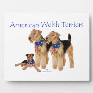 Placa Expositora Terriers galeses americanos