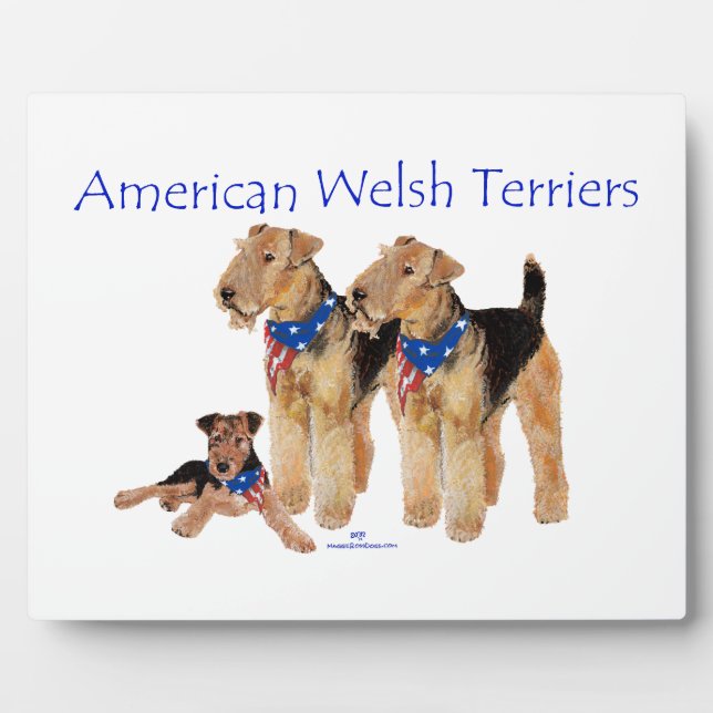 Placa Expositora Terriers galeses americanos (Frente)