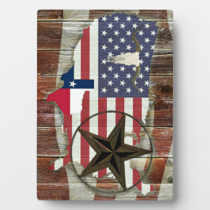 Placa Expositora Texas Lone Star Texas Long Horn