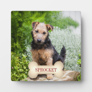 Placa Expositora Texto rojo profundo sobre el hueso con foto de Mas