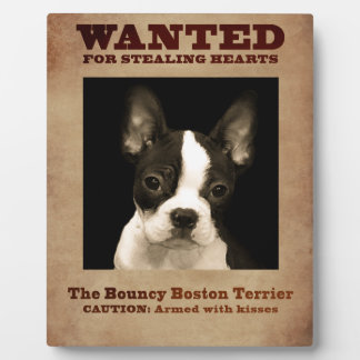 Placa Expositora The Bouncy Boston Terrier