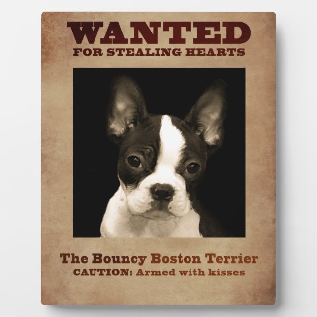 Placa Expositora The Bouncy Boston Terrier (Frente)