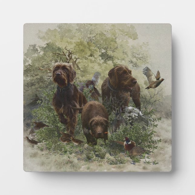 Placa Expositora The Pudelpointer        (Frente)