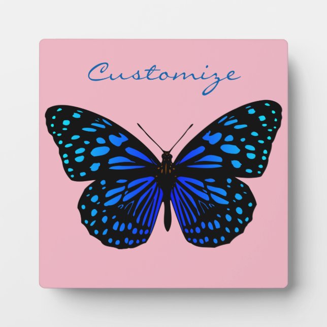 Placa Expositora Thunder_Cove de mariposa azul (Frente)
