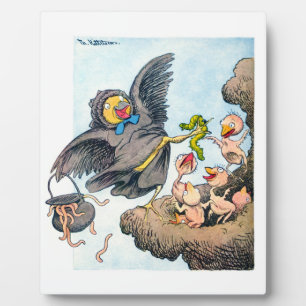 Placa Expositora Tiempo de alimentación