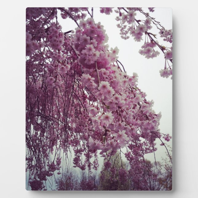 Placa Expositora Tiempo de primavera (Frente)