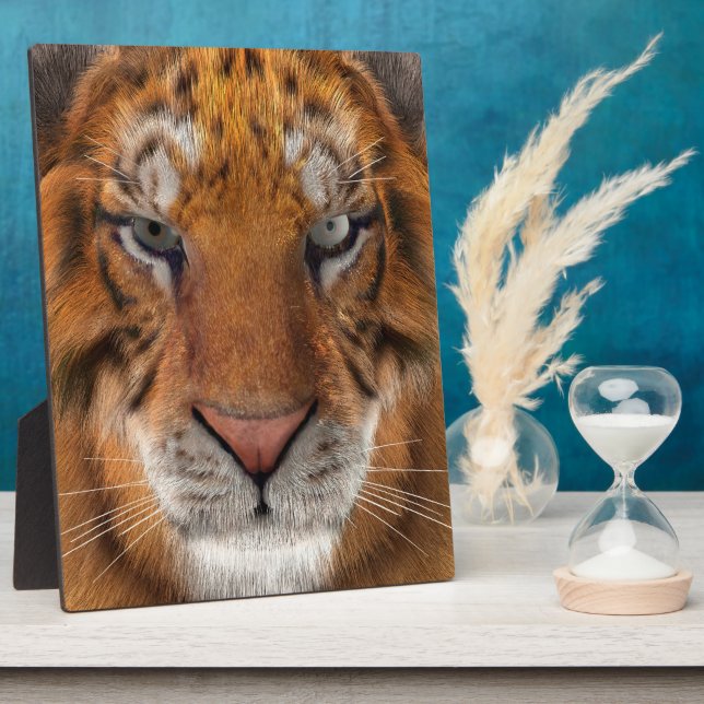 Placa Expositora Tigre (Lado)