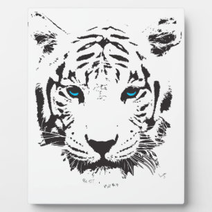 Placa Expositora Tigre blanco con ojos azules
