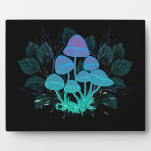 Placa Expositora Toadstools en Bushes