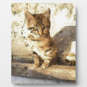 Placa Expositora Todos Los Gatos Son Negros En El Borrador De Lápiz