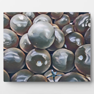 PLACA EXPOSITORA TOMATES