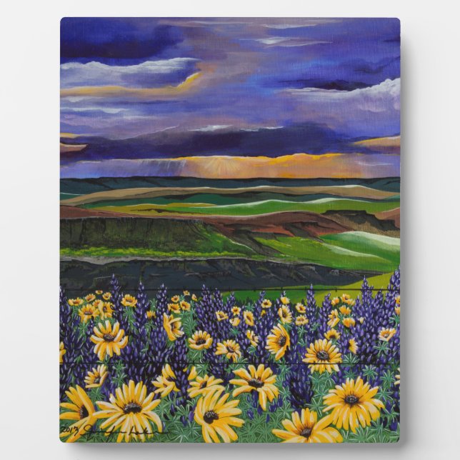 Placa Expositora Tormenta de verano (Frente)