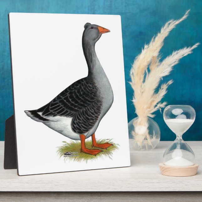 Placa Expositora Toulouse Goose Tufted (Lado)