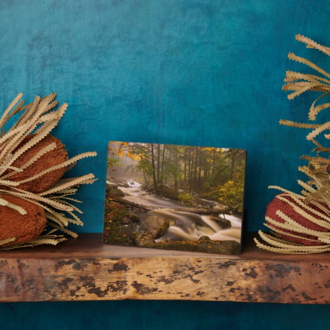 Placa Expositora Trail Appalachian | Vermont (Lado)