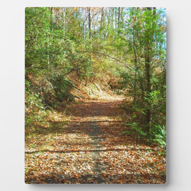 Placa Expositora Trail Forestal Sunlit Autumn (Frente)
