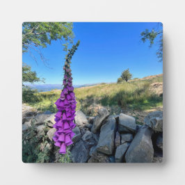 Placa Expositora Tranquilidad del campo inglés