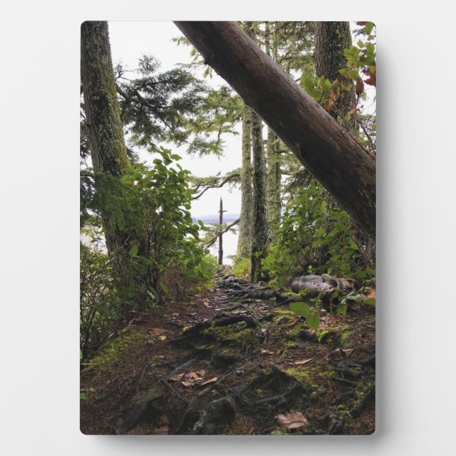 Placa Expositora Trayecto de buceo de bosques costeros, decepción d (Frente)