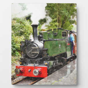 PLACA EXPOSITORA TREN DE VAPOR