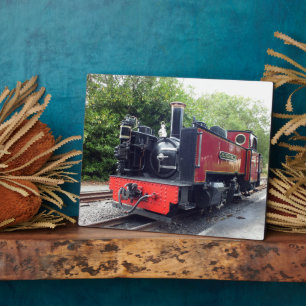 PLACA EXPOSITORA TREN DE VAPOR