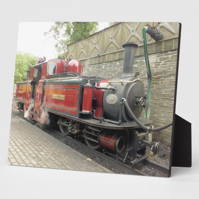 PLACA EXPOSITORA TRENES DE VAPOR (Lado)