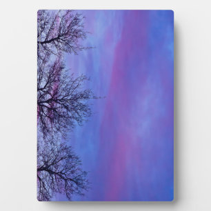 Placa Expositora Tres pistas de árbol