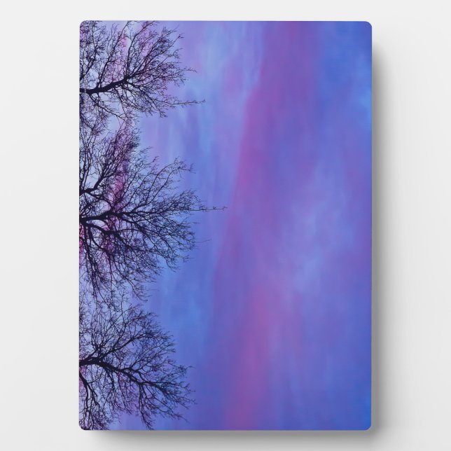 Placa Expositora Tres pistas de árbol (Frente)