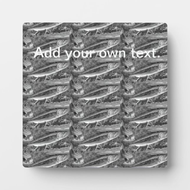 Placa Expositora Trucha, bajo y crápidos tres peces favoritos plaq (Frente)