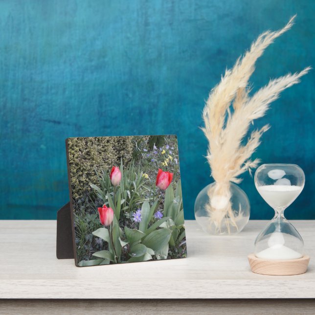 Placa Expositora Tuercas del jardín rojo (in situ)