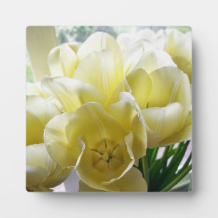 Placa Expositora Tulip Bouquet amarillo