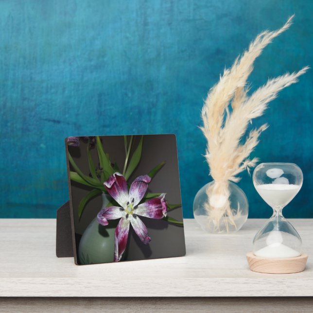 Placa Expositora Tulip Flower (in situ)