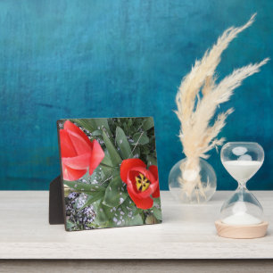 Placa Expositora Tulip rojo