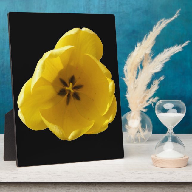 Placa Expositora Tulipán amarillo (Lado)