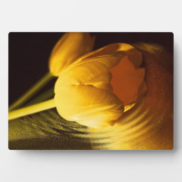 Placa Expositora Tulipán Amarillo Romántico