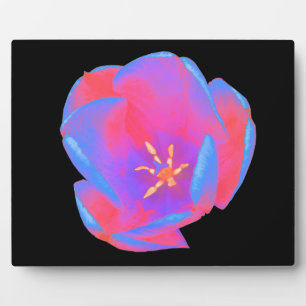 Placa Expositora Tulipán fluorescente