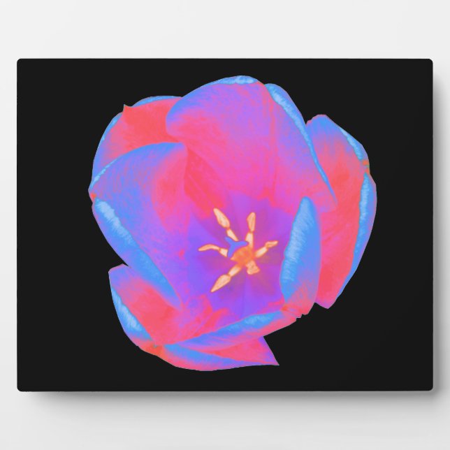 Placa Expositora Tulipán fluorescente (Frente)