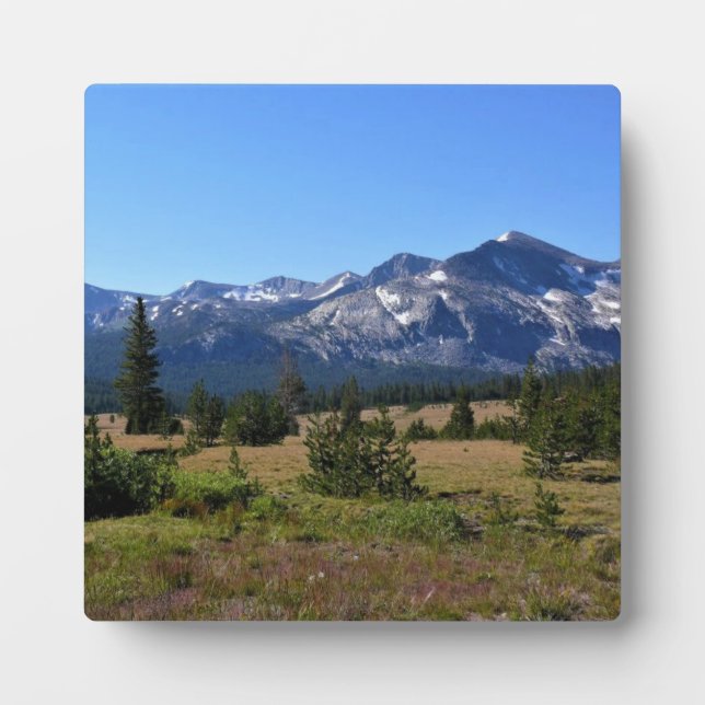 Placa Expositora Tuolumne Meadows, Yosemite, CA (Frente)